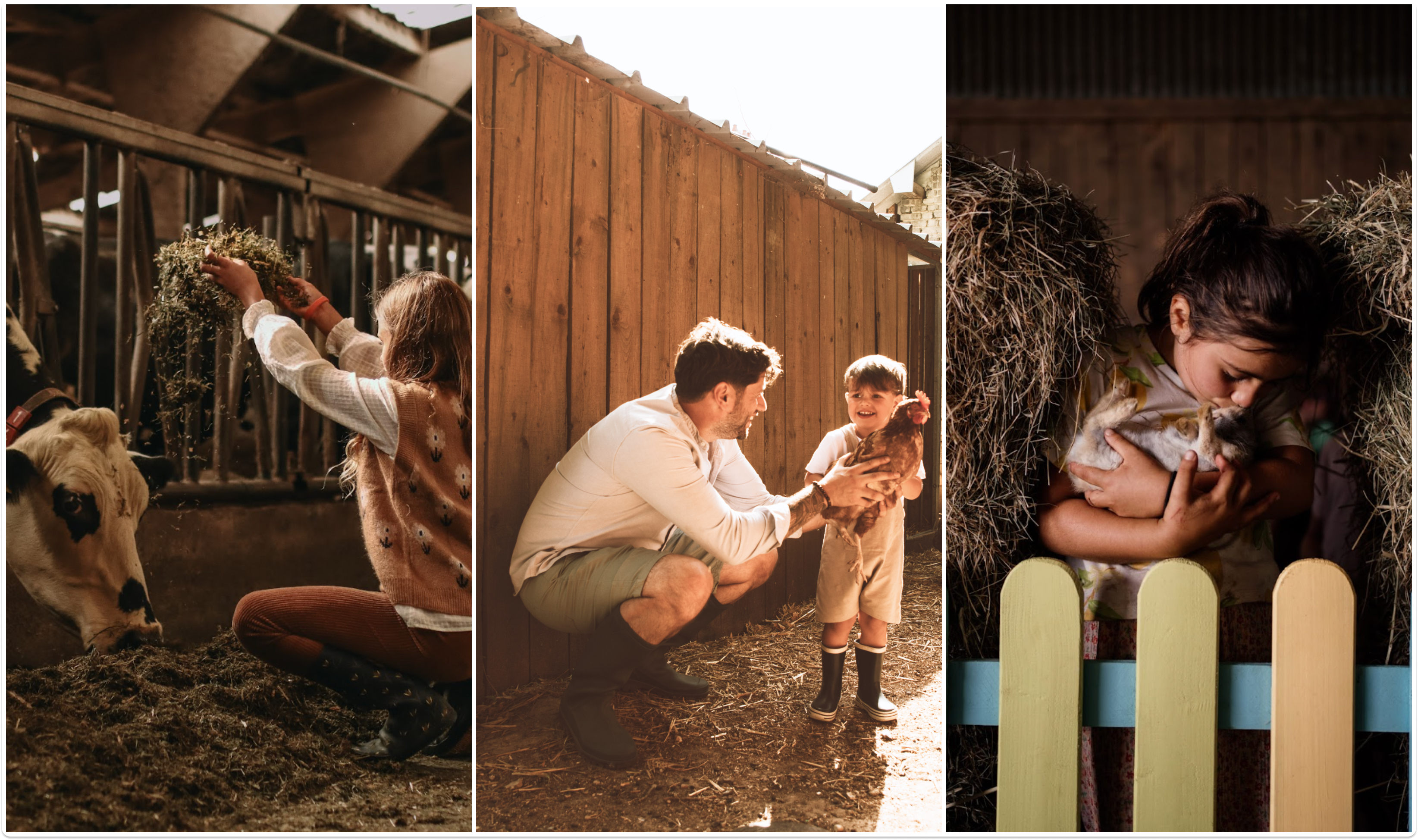 Moment de partage avec les animaux de la ferme