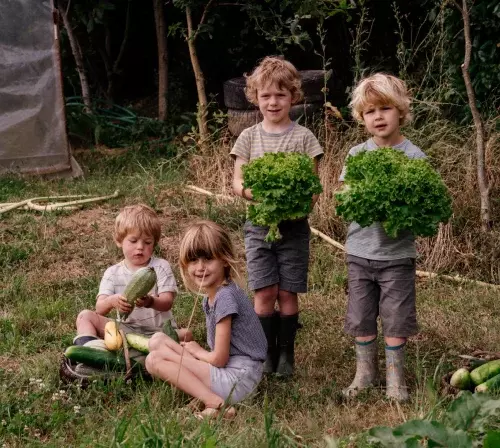 Enfants qui fontt une activité de cueillette à la ferme