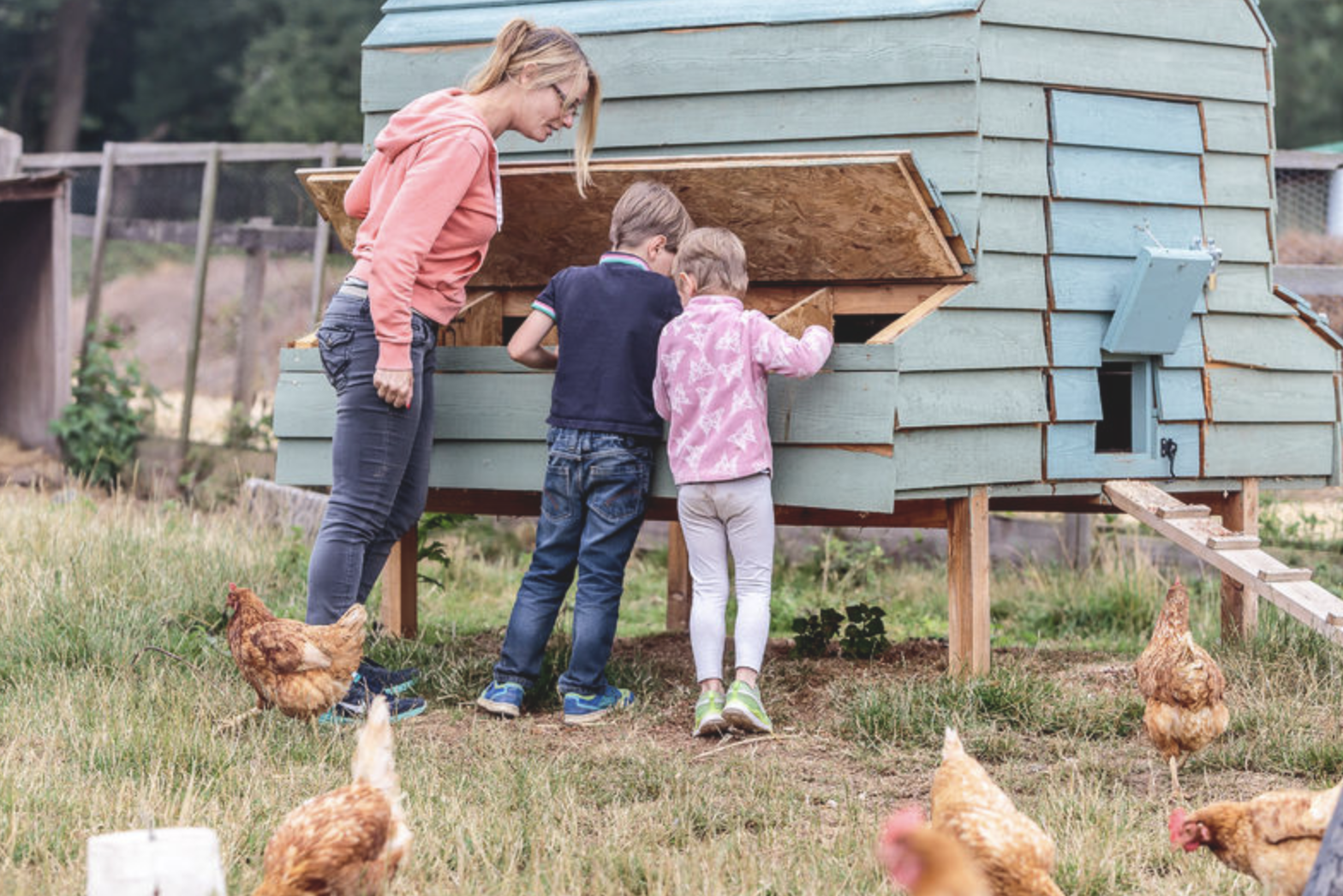 Famille qui récolte les oeufs des poules à la ferme