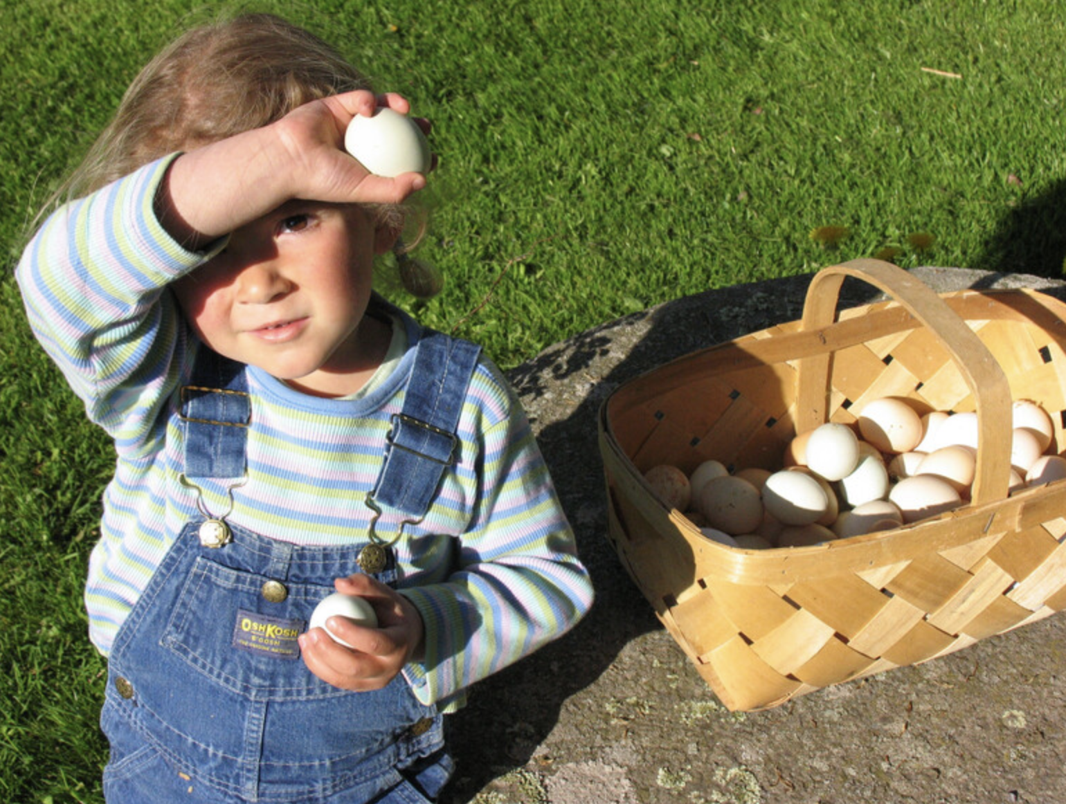 Petite fille avec des oeufs de la ferme