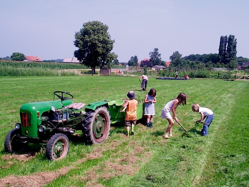 Activité en famille dans un champs de la ferme